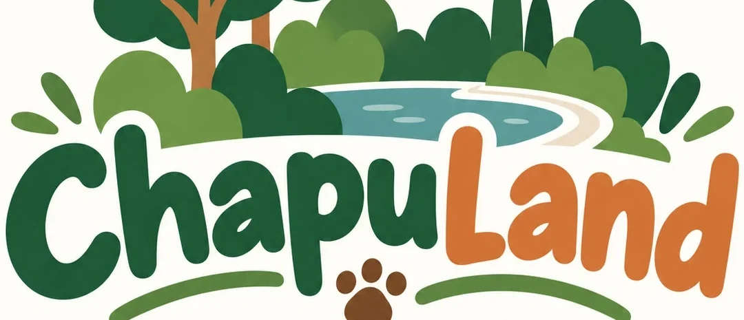 ChapuLand
